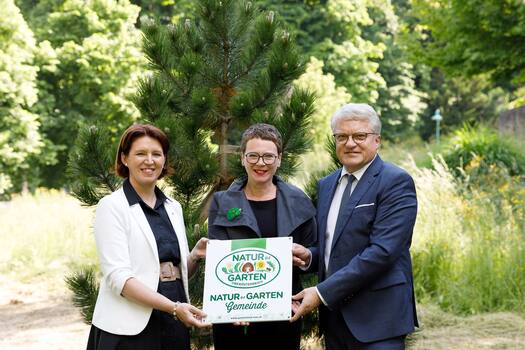 Stahlstadt Linz seht auf Natur im Garten; Langer-Weninger, Schobesberger , Luger