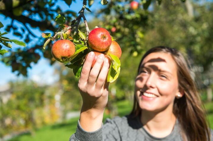 Frau erntet einen reifen Apfel