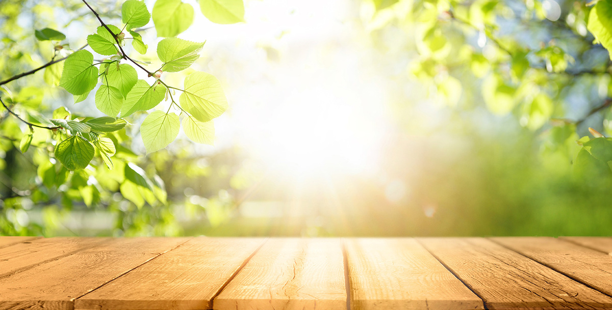 Holztisch im Hintergrund Sonne und Bäume mit grünen Blättern