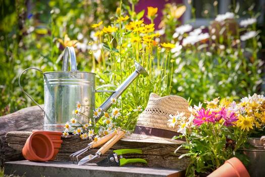 Gartenwerkzeug und Gießkanne im Garten