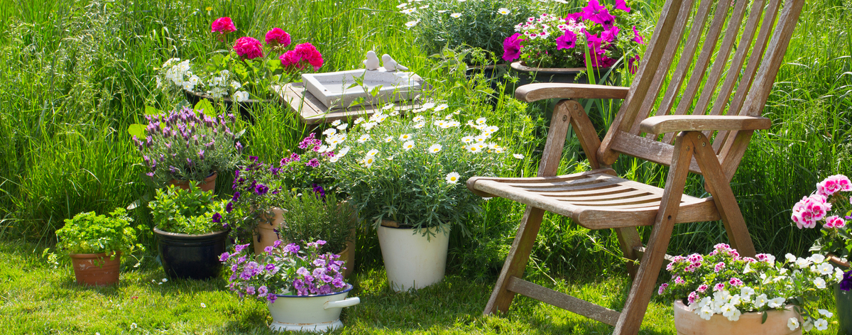 blühende Blumen und eine Blumenwiese