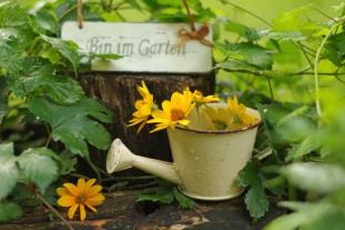 Gießkanne mit Blumen