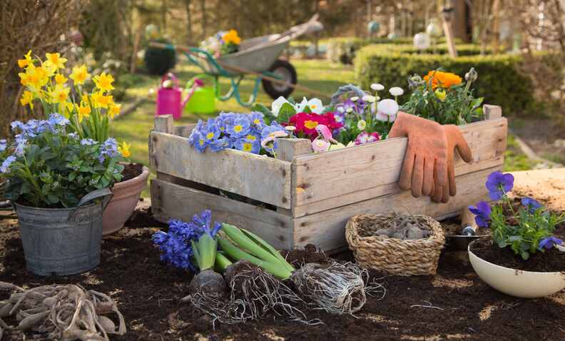 Gartenarbeit im Frühling