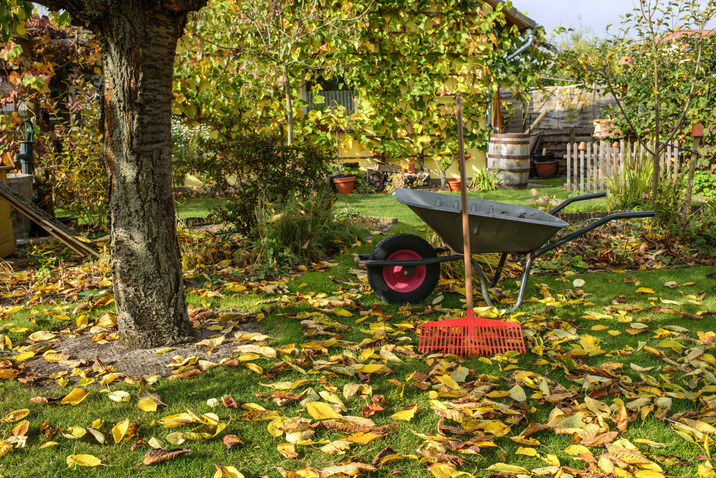 Gartenarbeit im Herbst