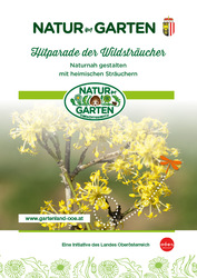 Titelblatt HitparadederWildstraeucher