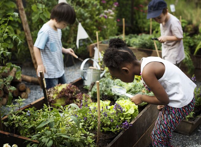 Schule im Garten - Kind mit Lupe vor Hochbeet