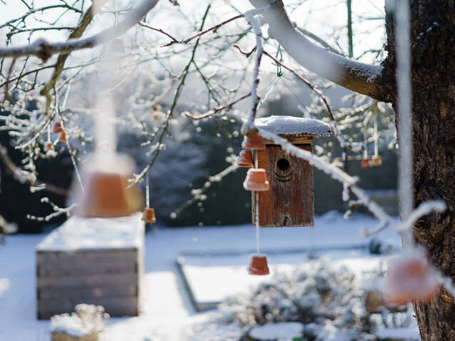 Vogelhaus im verschneiten Wintergarten