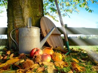 Gießkanne im Herbstlaub