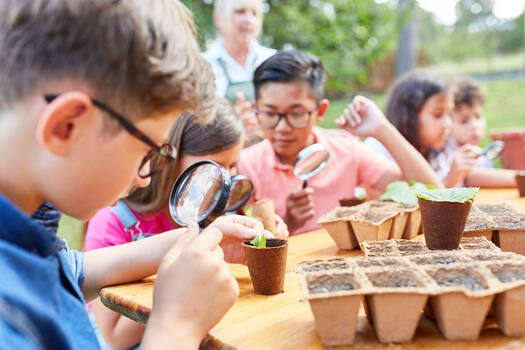 Unterricht im Freien, Kindern sehen sich Pflanzlinge  an